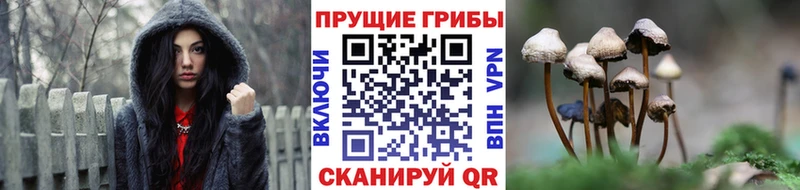 Галлюциногенные грибы прущие грибы Лесосибирск